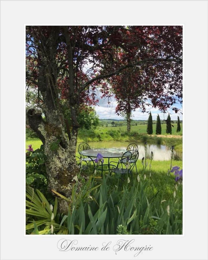 Domaine De Hongrie Hotel Nogaro Buitenkant foto